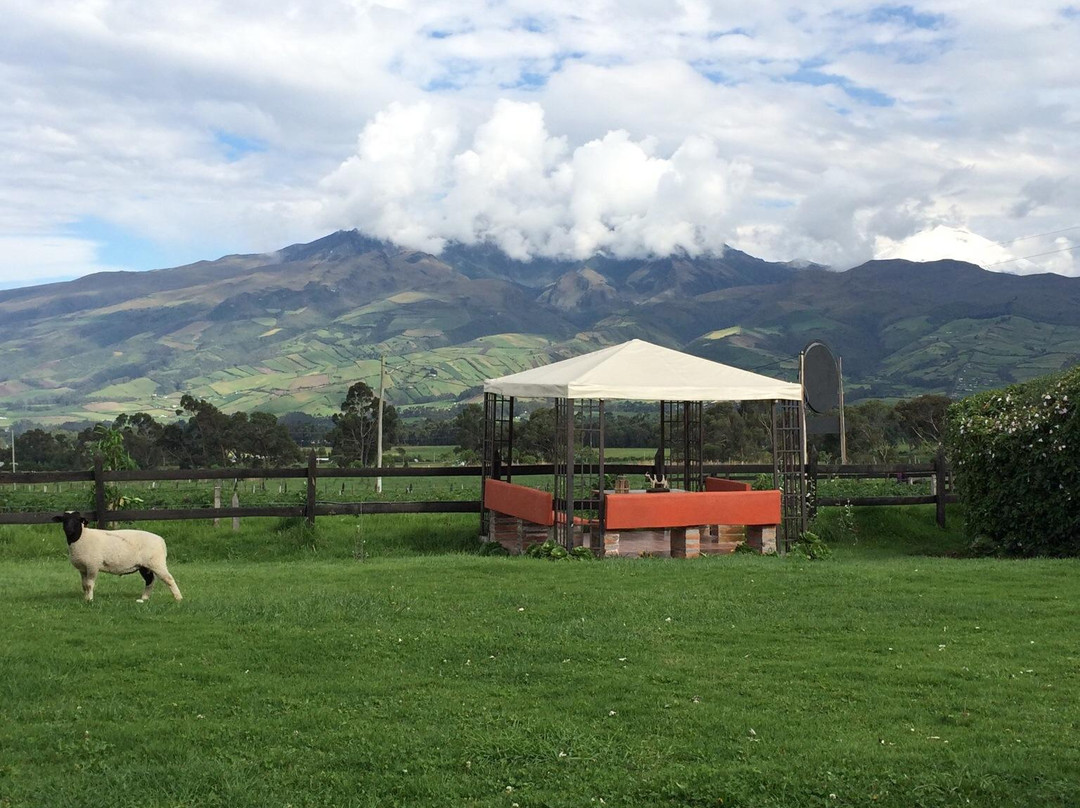 Hosteria Sur Campestre主图