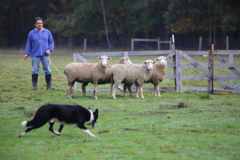 The Spicy Lamb Farm-Peninsula必去景点