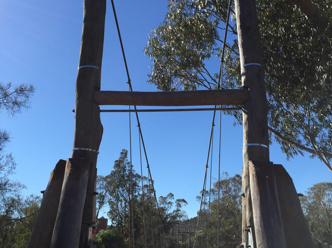 Avon River Suspension Bridge景点图片