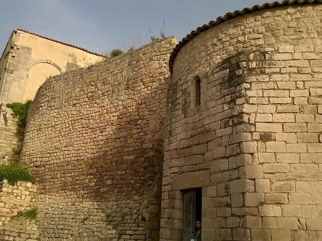 Castello dei Naselli d'Aragona景点图片