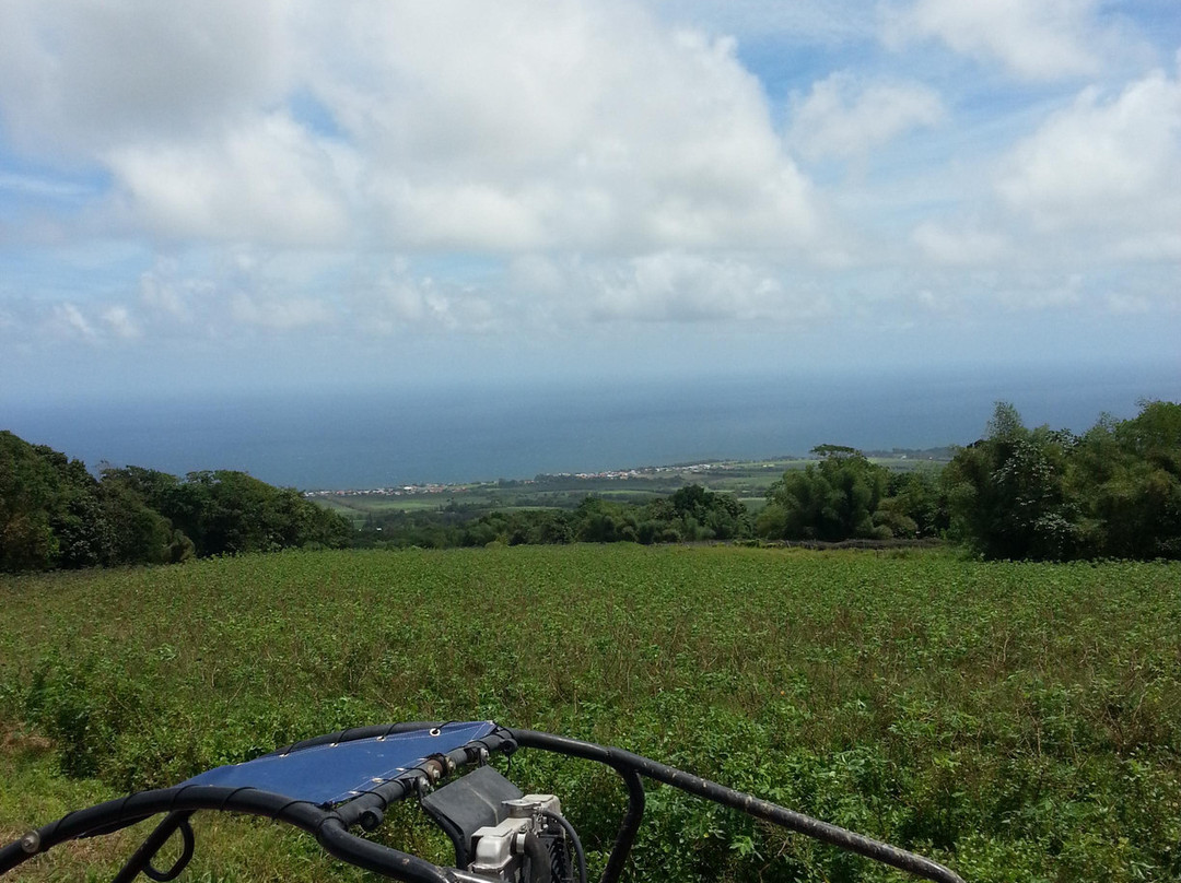 Plantation Leyritz-Basse-Pointe必去景点