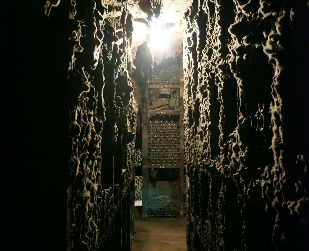 Burgundy Report Tours - Day Tours-博讷必去景点