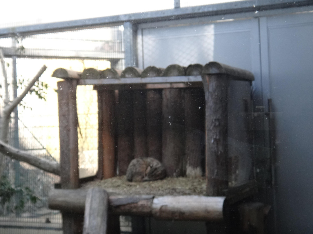 Tsushima Wildlife Conservation Center-对马市必去景点