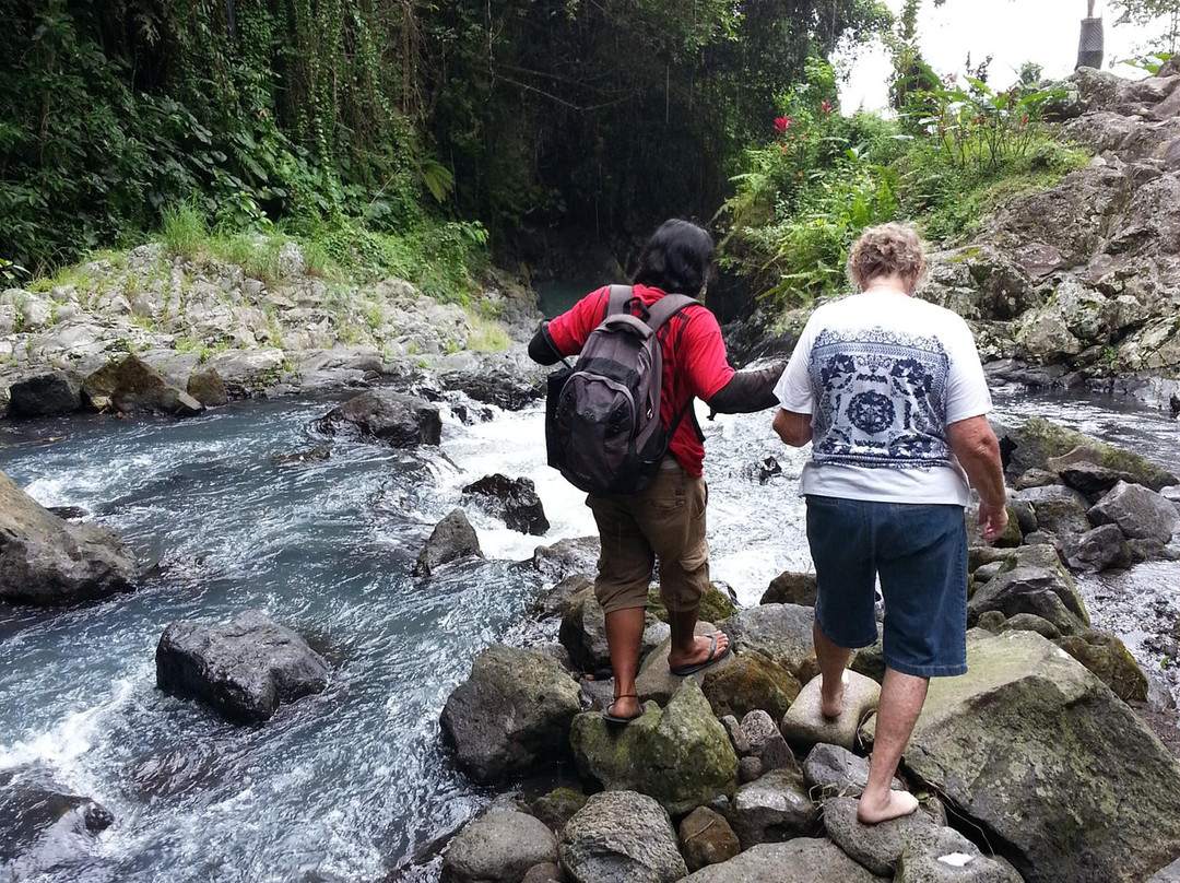 Bali Vespa Tour - Day Tours景点图片