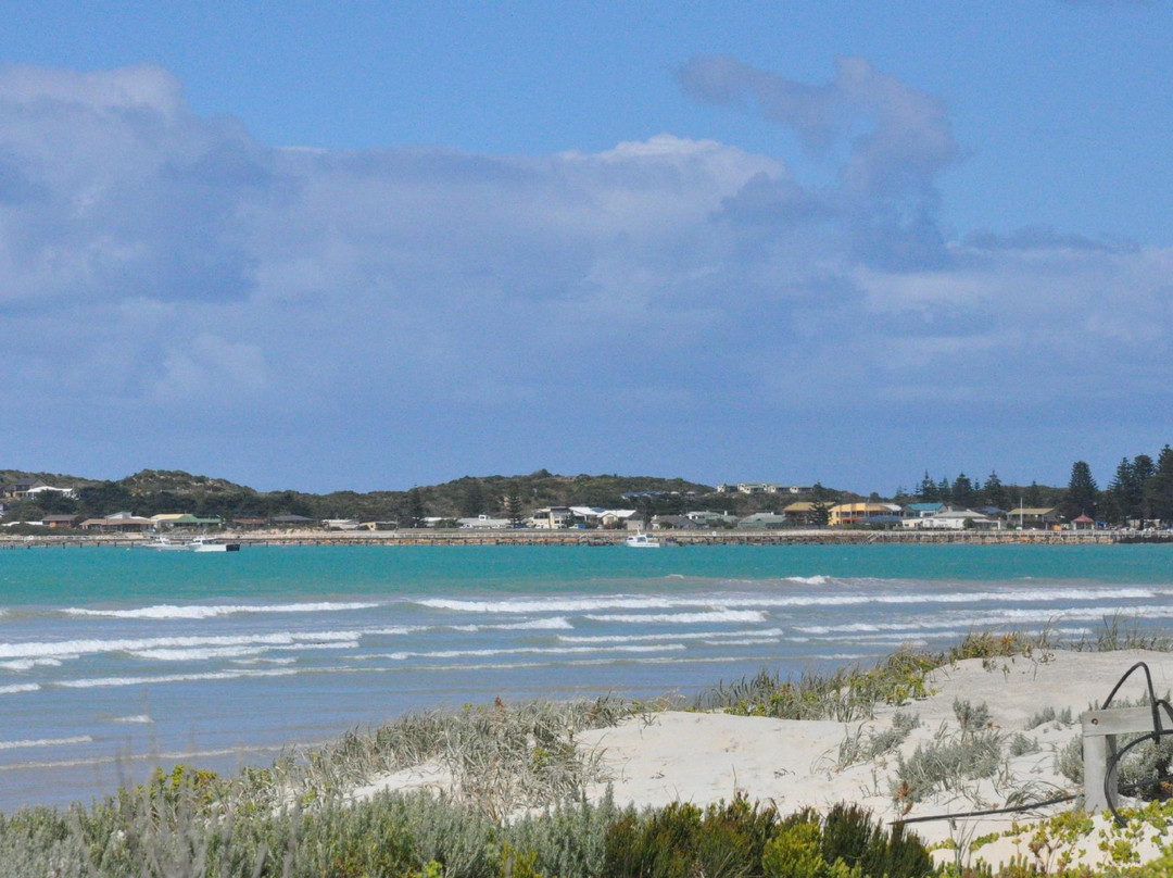 Beachport Surf Beach景点图片