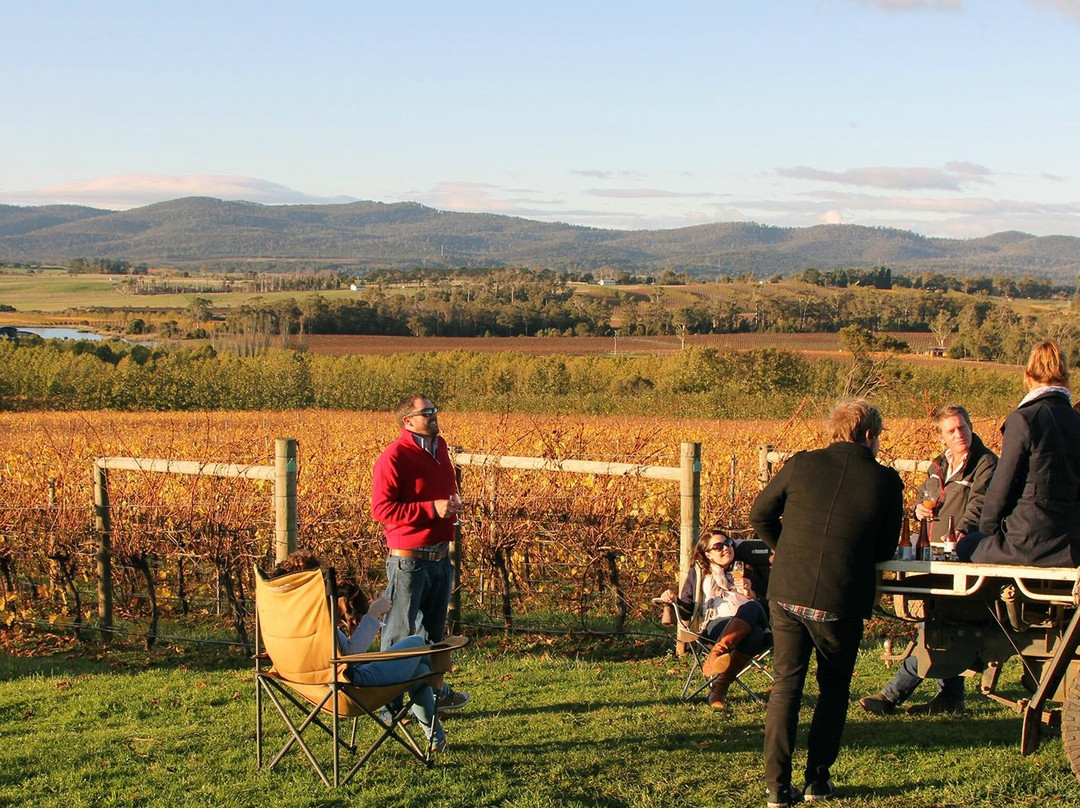 Wines for Joanie-Sidmouth必去景点