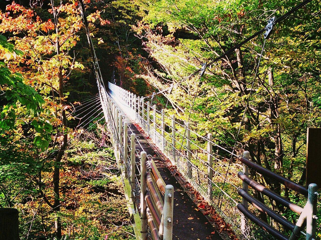 Daisen Fall Suspension Bridge景点图片