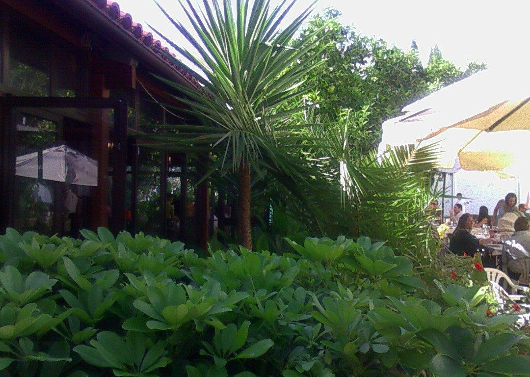 La Grama Del Barrero