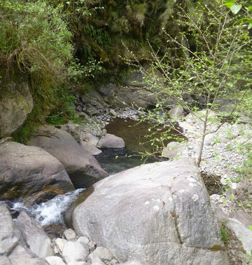 Laguna del Tesoro-Alpachiri必去景点