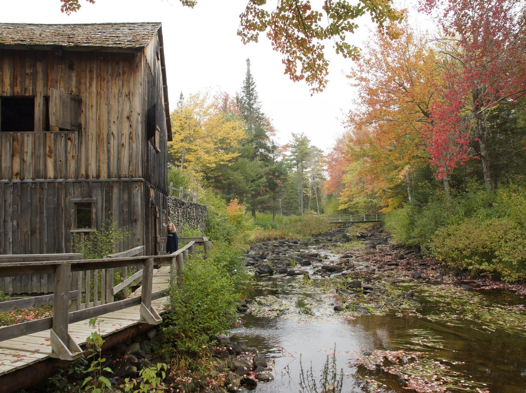 Maine Forest and Logging Museum-Bradley必去景点