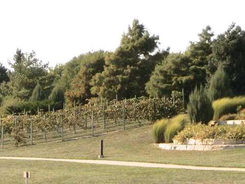 Gezer Park-利伍德必去景点