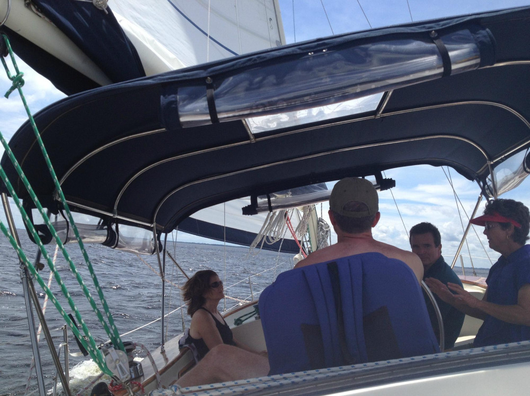 On The Wind Sailing Cruises-新伯尔尼必去景点