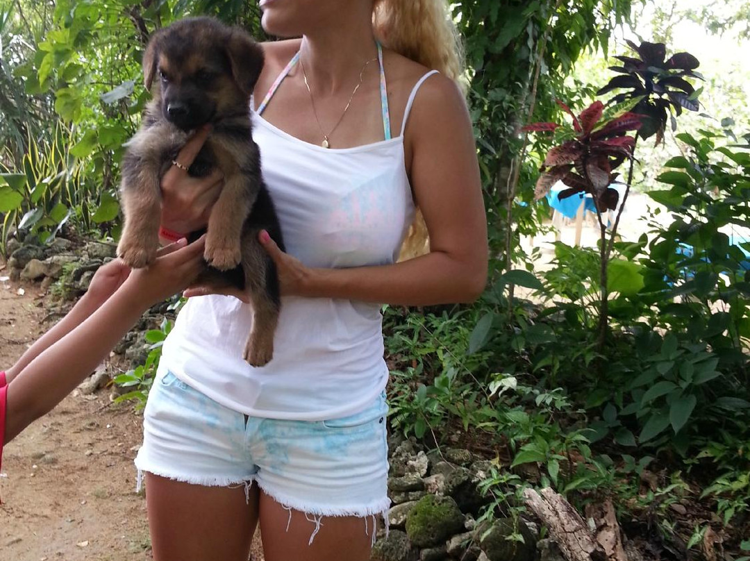 Half Moon Bay-内格里尔必去景点