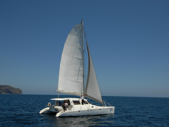 Magic Dolphin-沙尔必去景点