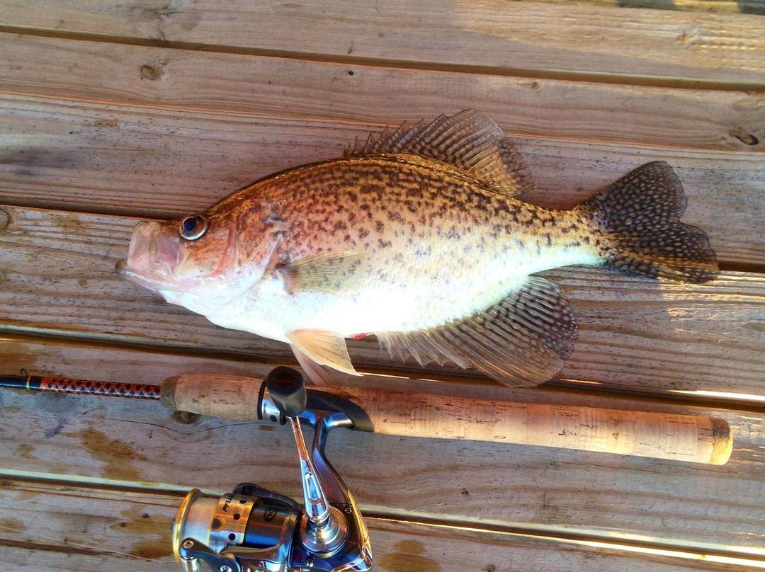 Three Oaks Resort On Lake Norfork主图