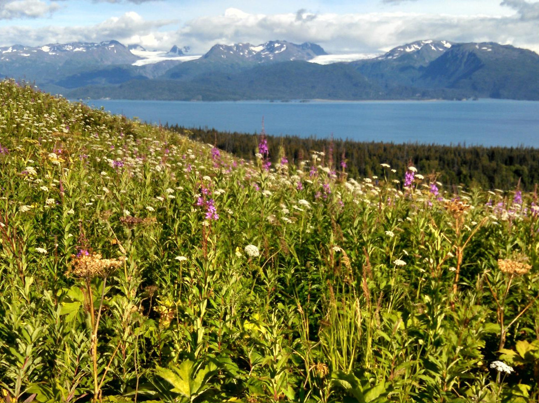 Eveline State Recreation Area-Fritz Creek必去景点