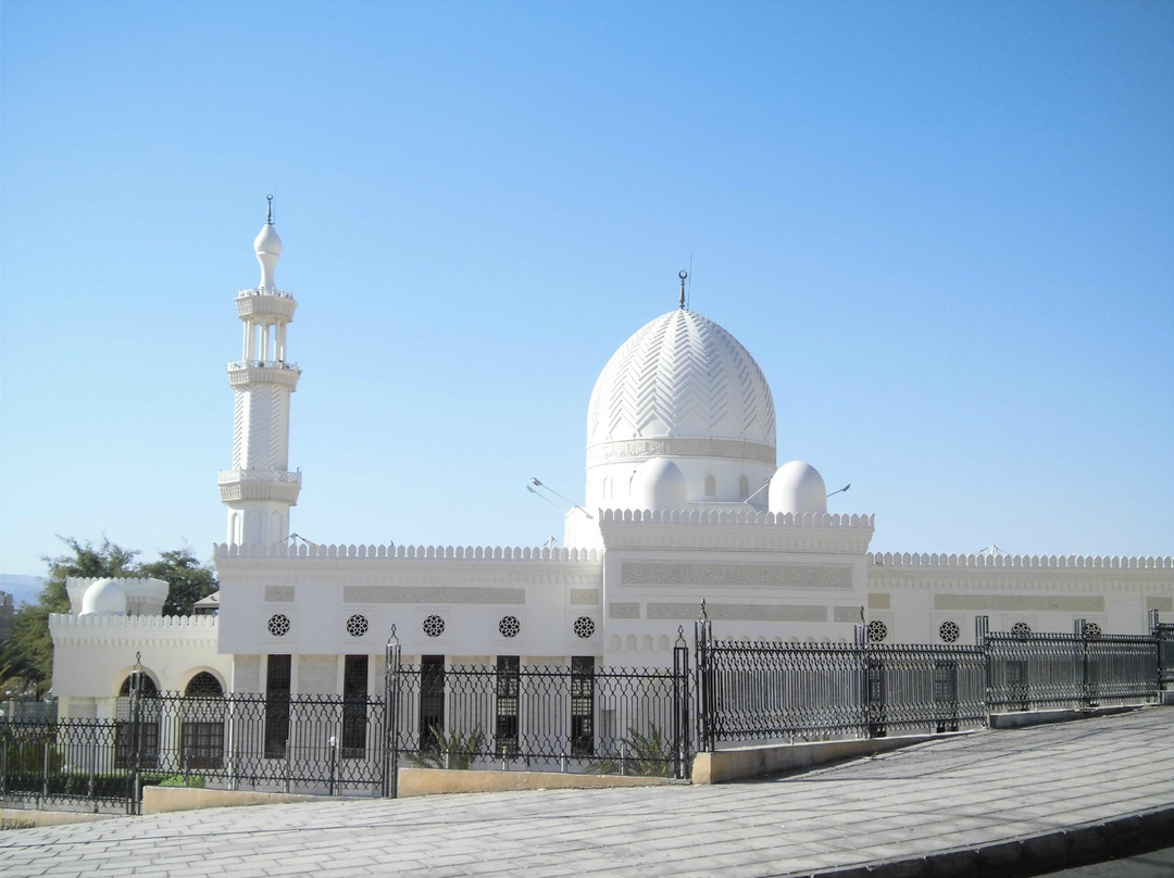 Sharif Hussein Bin Ali景点图片