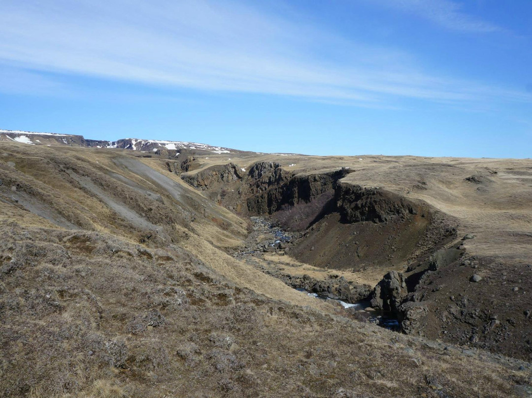 Hallormsstadur Forestry Reserve-埃伊尔斯塔济必去景点