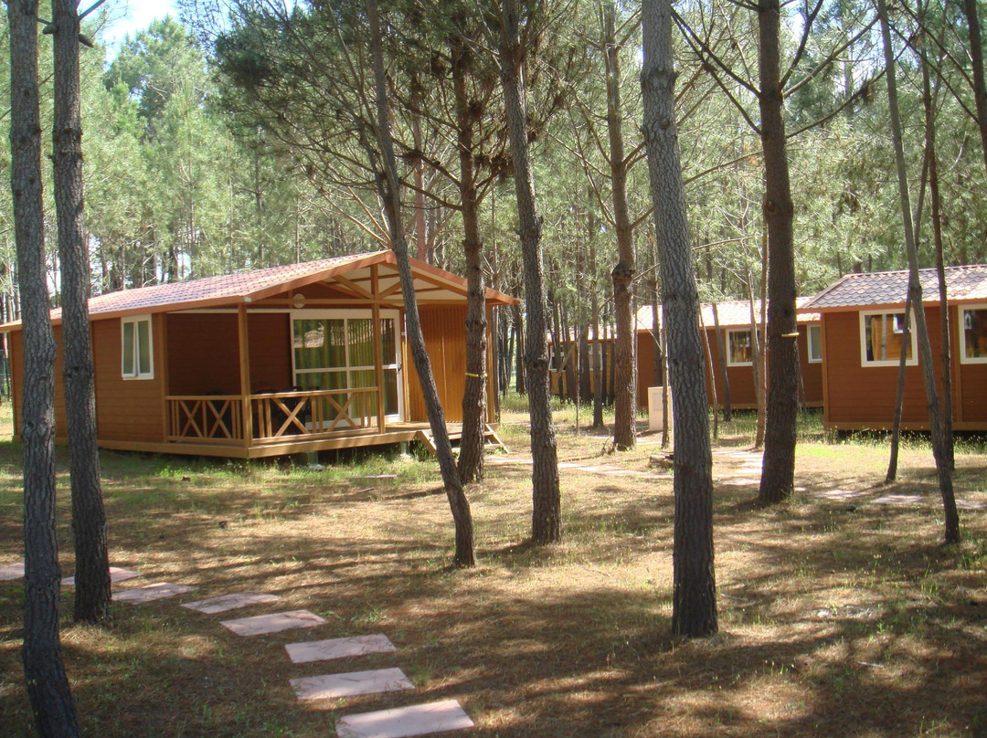 Parque de Campismo Sao Miguel