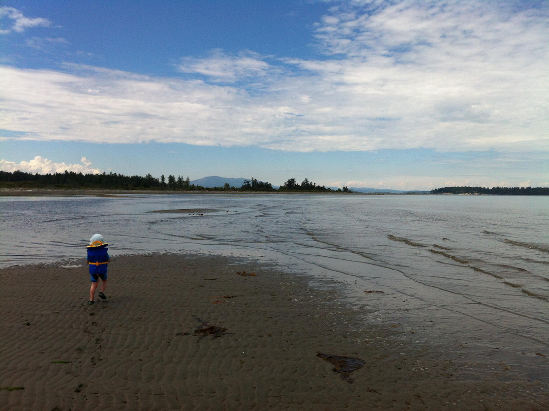Island View Beach Regional Park景点图片