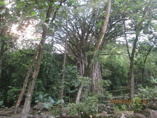 Pension Koku'u主图