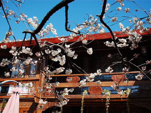 丽江快乐驿站客栈主图