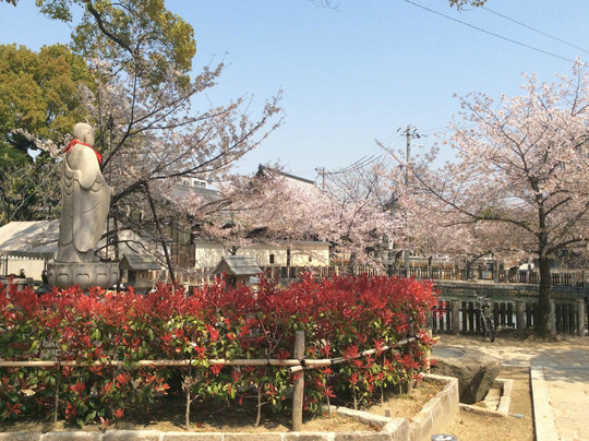四天王寺-大阪市必去景点