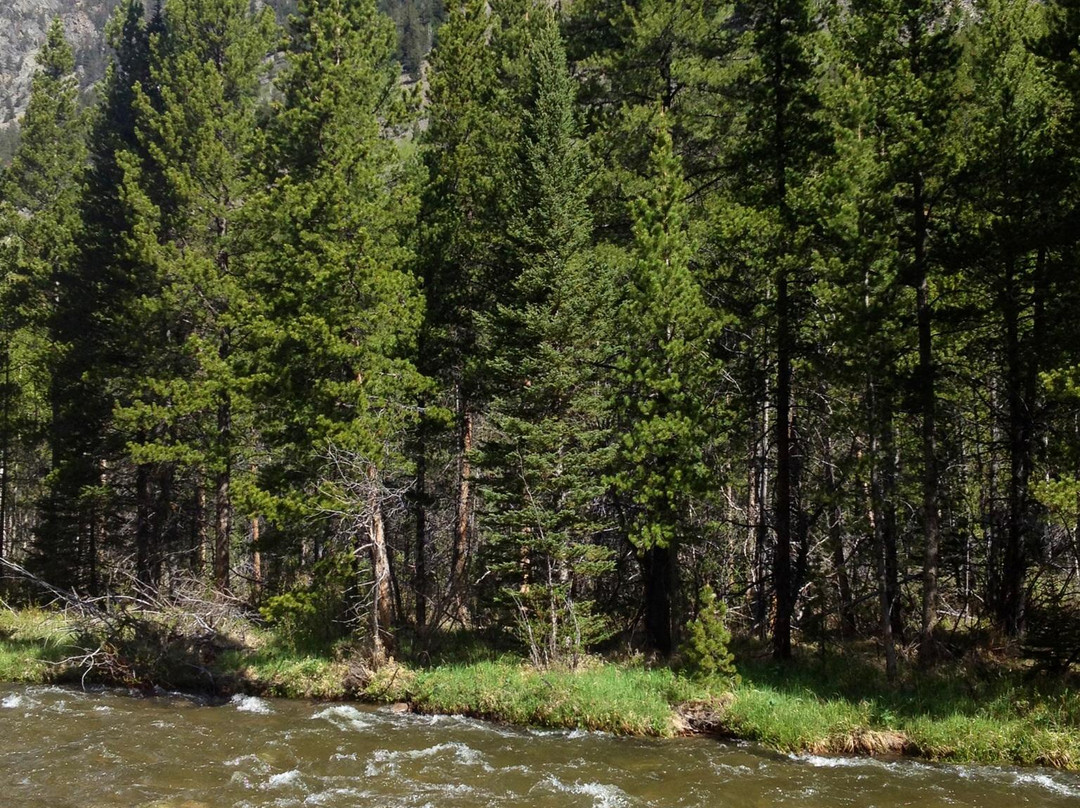 Lake Fork Trail-雷德洛治必去景点