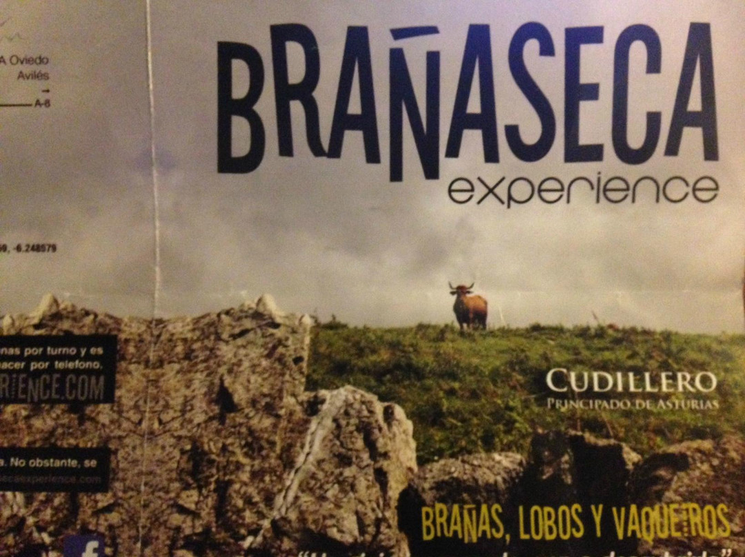 Branaseca Experiencie-库迪列罗必去景点