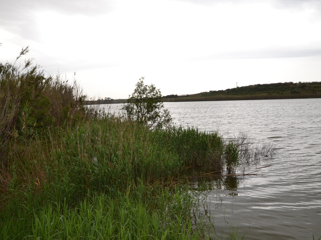 Riserva Naturale Biviere-Gela必去景点