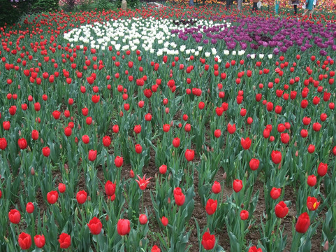 西安植物园-西安市必去景点