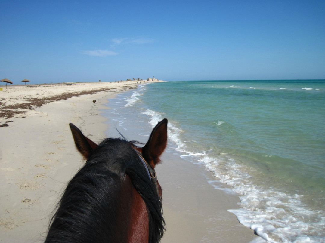 Mezraya Ranch-杰尔巴岛必去景点