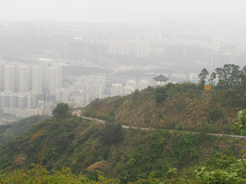 塘朗山郊野公园-深圳市必去景点