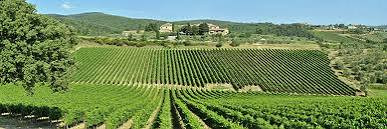 Vr Tuscany Di Riccardo Mita Tours-比森齐奥营必去景点