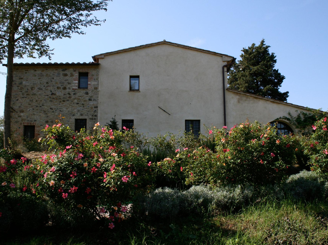 Palazzone旅游攻略图片