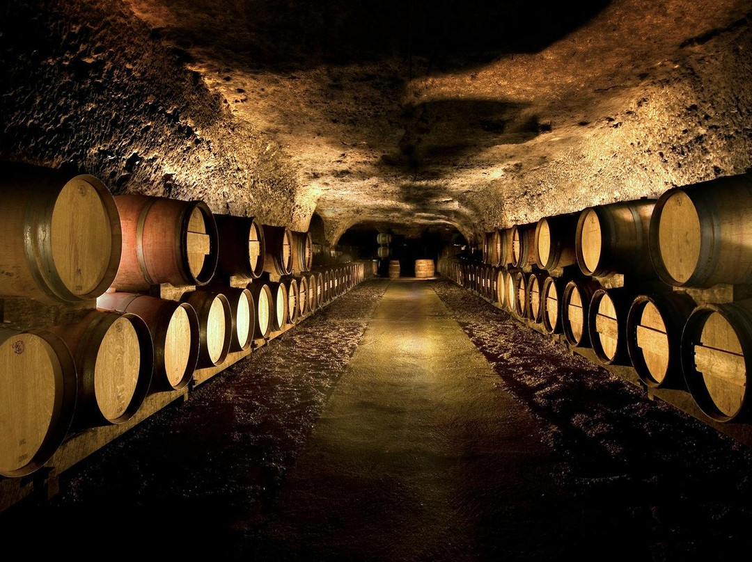 Marc Bredif Vouvray - Wine Cave景点图片