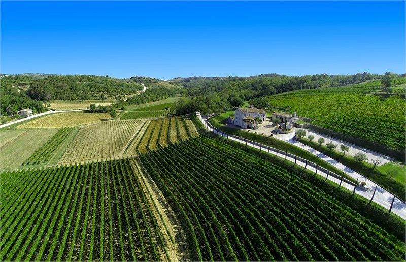 Kabola Winery-Momjan必去景点