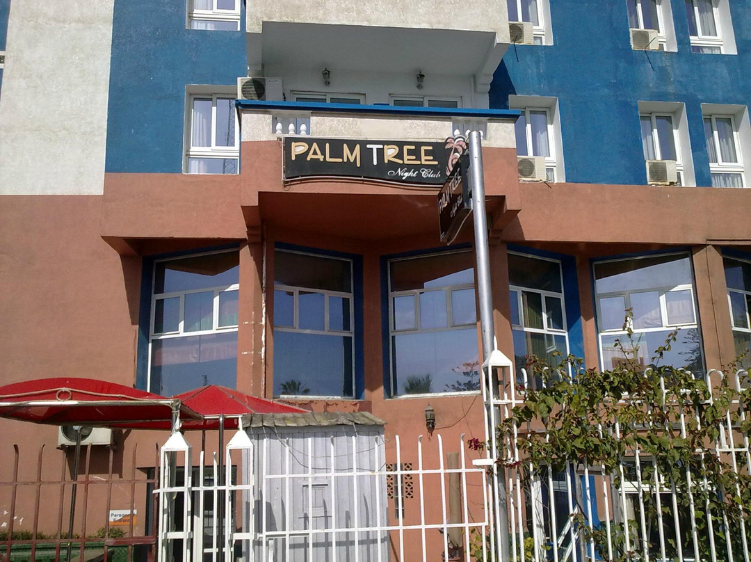 Palm Tree Nightclub-摩洛哥-马扎甘葡萄牙城必去景点