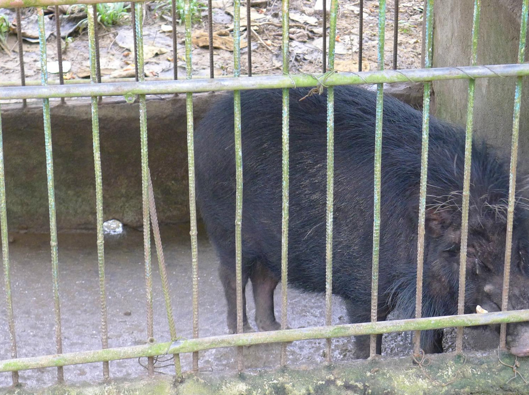 Santa Victoria Caves-Tuguegarao City必去景点