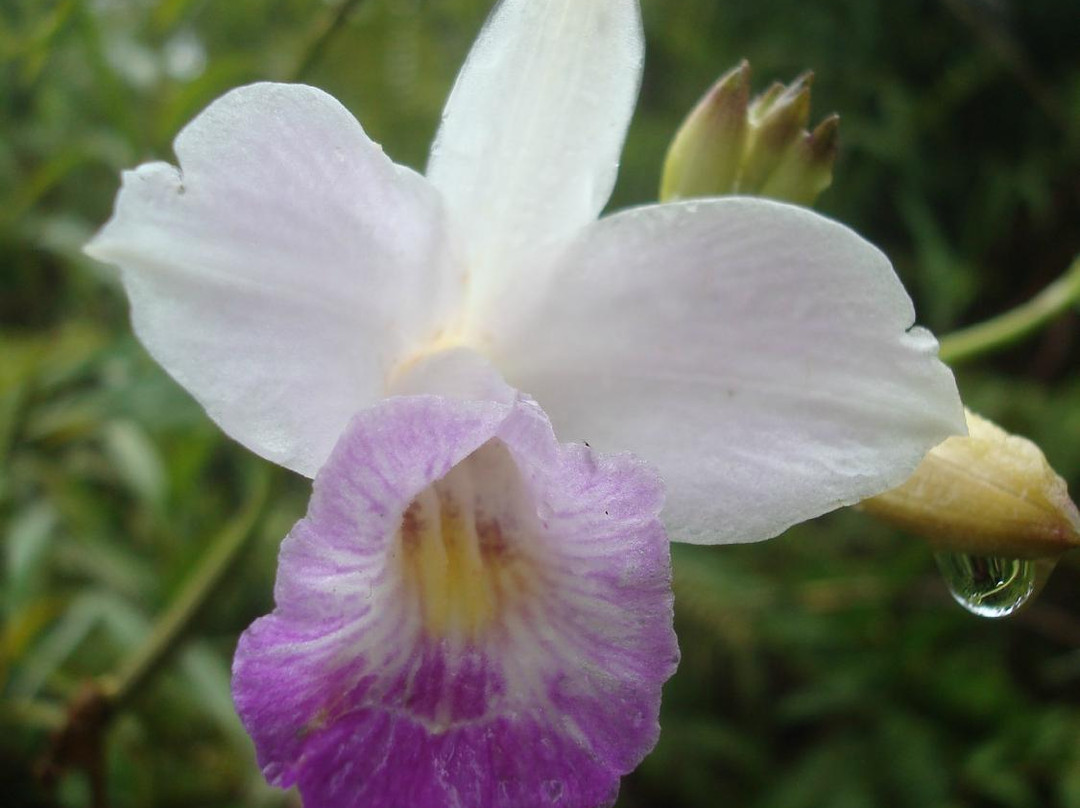 Rainbow Retreat Center主图