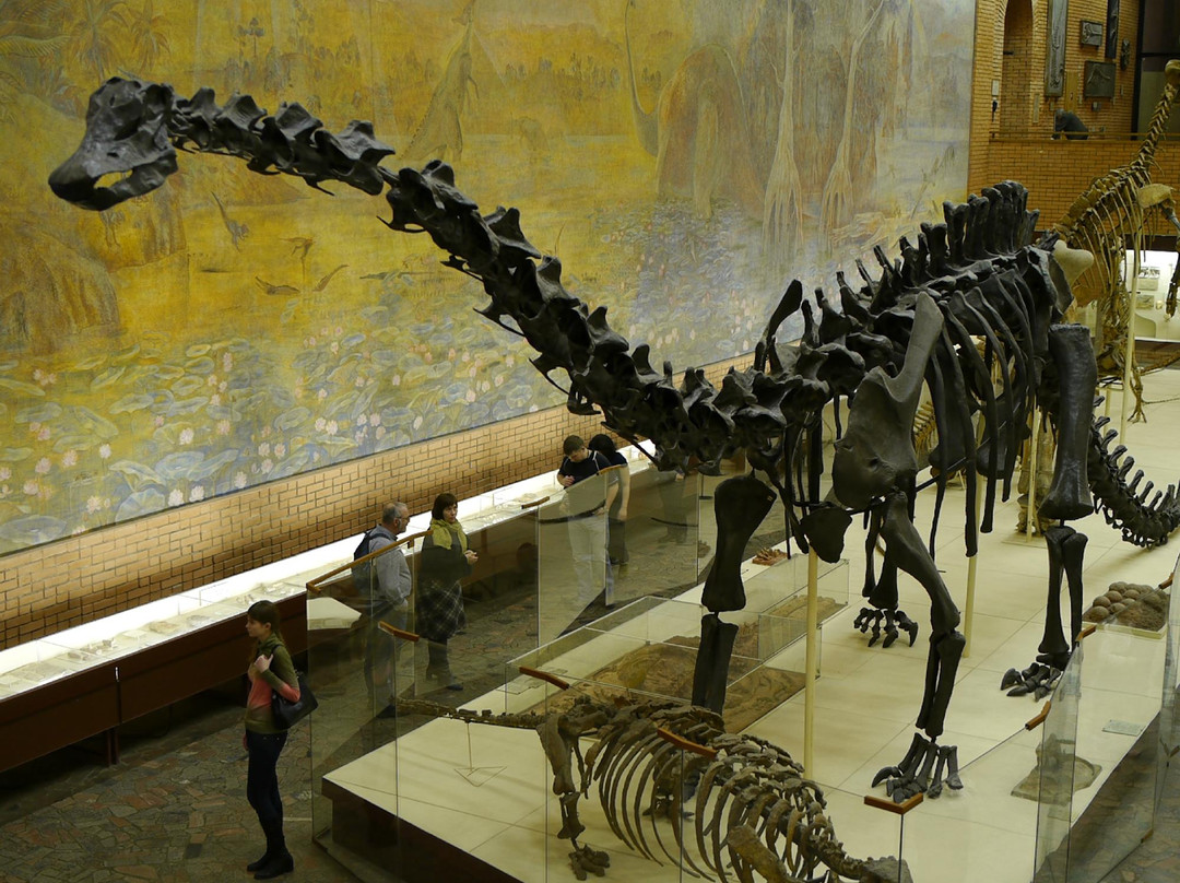Orlov Paleontological Museum-莫斯科必去景点