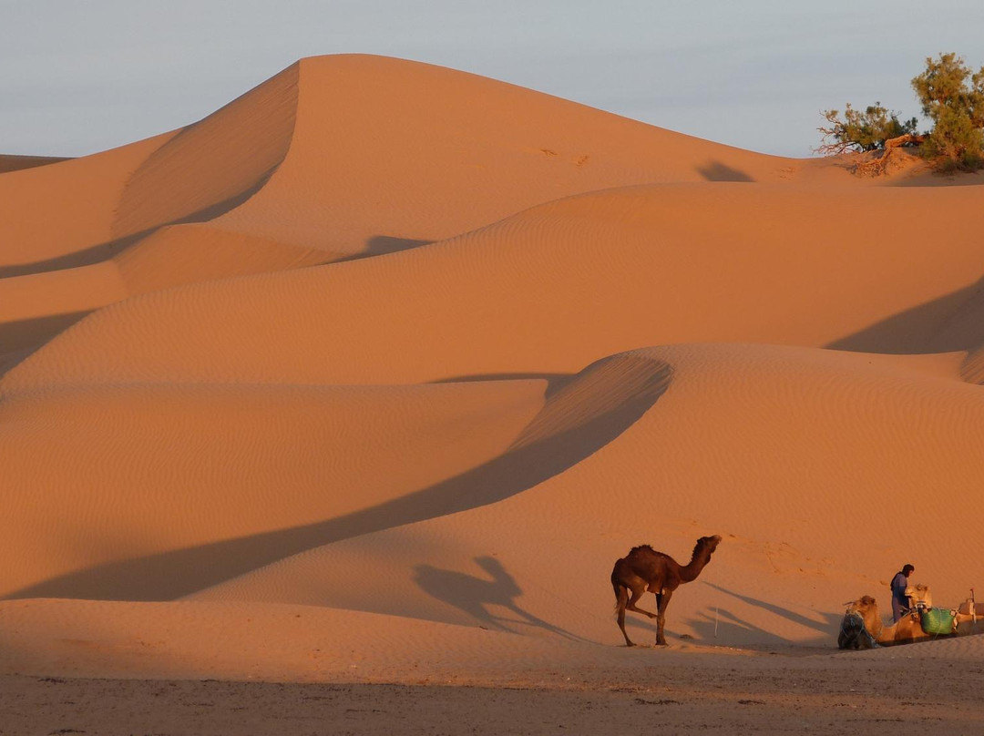 Loud Sahara Day Tours-扎古拉必去景点