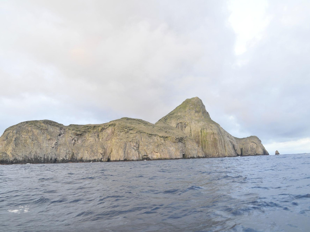 马尔佩洛岛动植物保护区-Malpelo Island必去景点