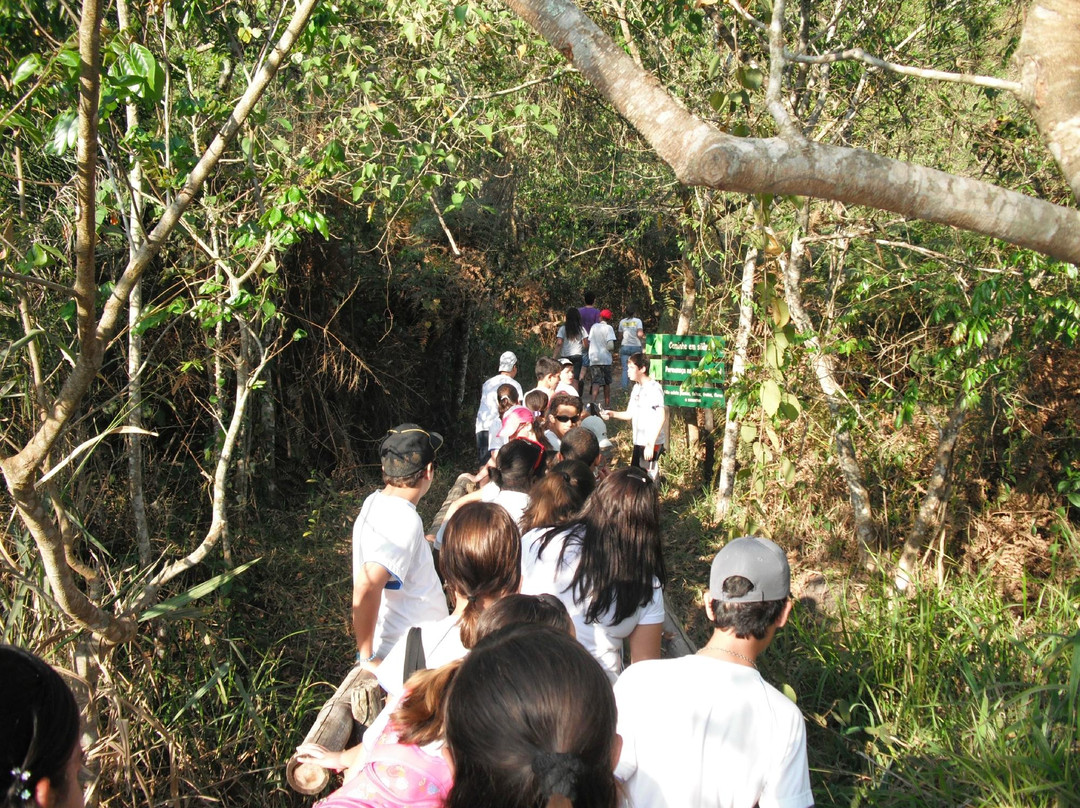 Municipal Botanical Garden of Bauru景点图片