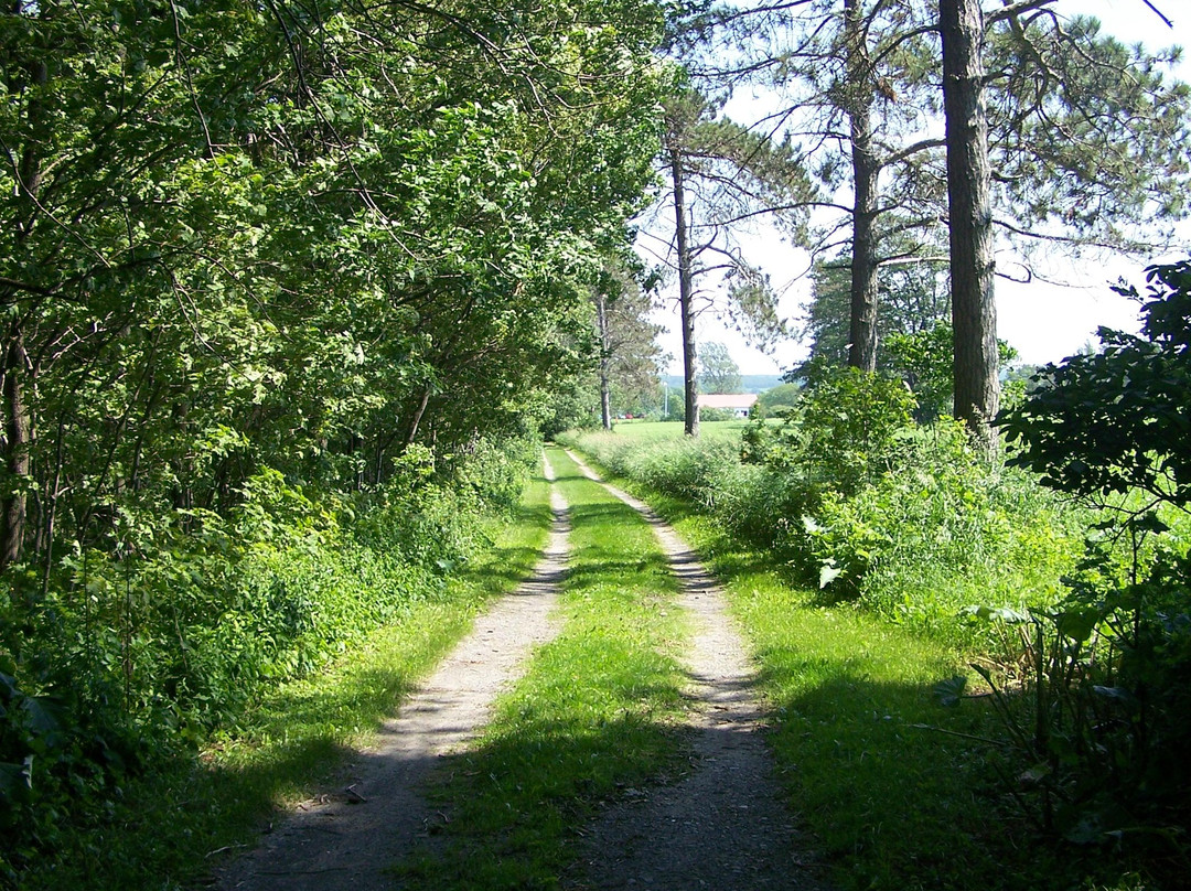 Domaine Pointe-de-Saint-Vallier景点图片