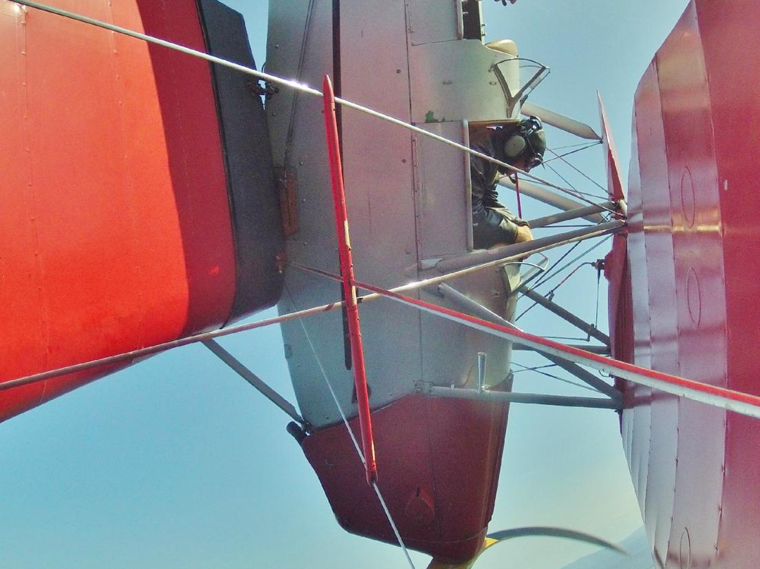 Tiger Moth Joy Rides景点图片