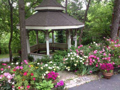 Holiday Island酒店住宿-Angel at Rose Hall Bed and Breakfast