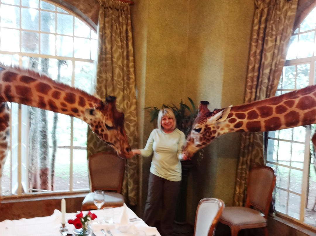 非洲濒危野生动物基金会（肯尼亚）-长颈鹿中心-内罗毕必去景点