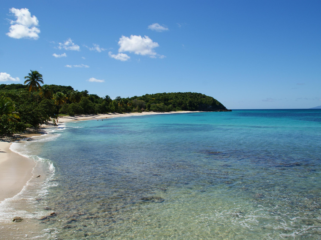 Tarzan Excursion Guadeloupe景点图片