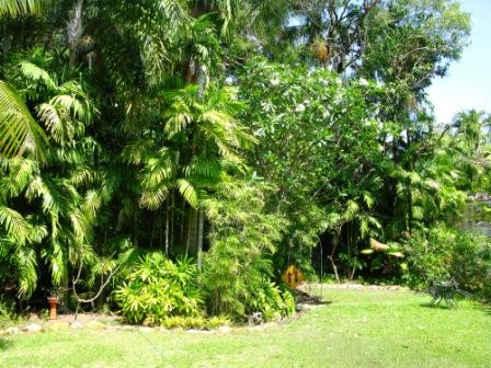 Frangipanni Bed & Breakfast主图